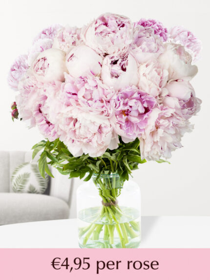 Soft pink peonies - Choose your number from 10 till 99